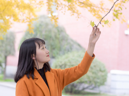 菲律宾科技大学国家认可吗